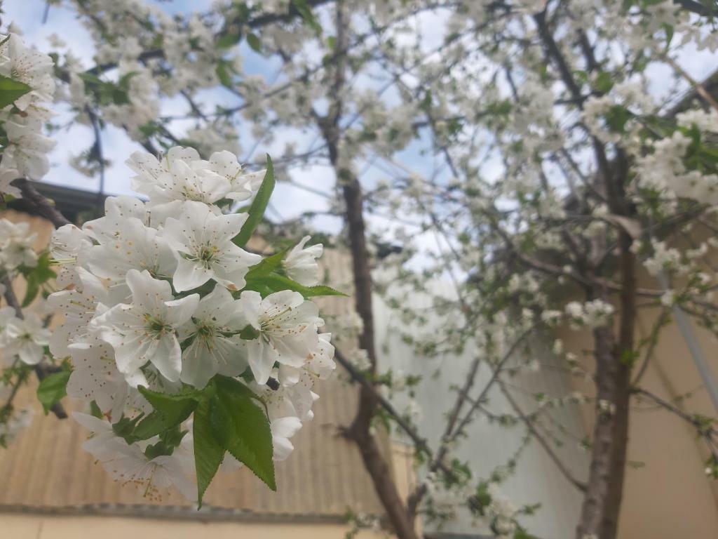 City Hostel Dushanbe Exterior foto
